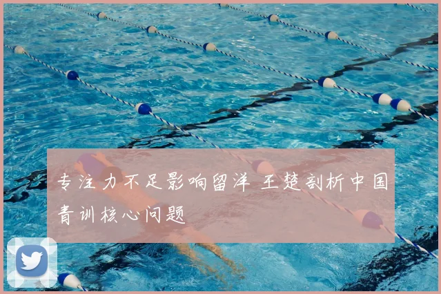 专注力不足影响留洋 王楚剖析中国青训核心问题